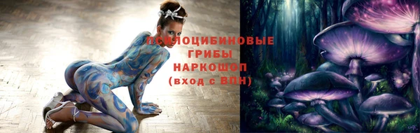 PSILOCYBIN Армянск
