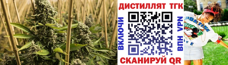 ссылка на мегу ТОР  Богородицк  Дистиллят ТГК Wax 